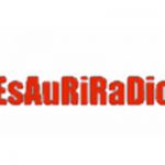 listen_radio.php?radio_station_name=11121-esauriradio