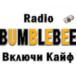 listen_radio.php?radio_station_name=15523-bumblebee