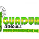 listen_radio.php?radio_station_name=39622-guaduas-stereo