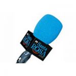 listen_radio.php?radio_station_name=40011-radio-santa-rosa