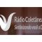 listen_radio.php?radio_station_name=37036-radio-coletanea