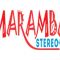 listen_radio.php?radio_station_name=39297-maramba-stereo