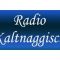 listen_radio.php?radio_station_name=7161-radio-kaltnaggisch