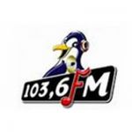 listen_radio.php?radio_station_name=1114-pinguin-fm