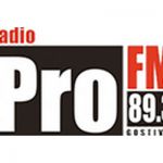 listen_radio.php?radio_station_name=12110-radio-pro-fm