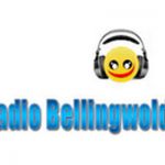 listen_radio.php?radio_station_name=12375-radio-bellingwolde