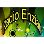 listen_radio.php?radio_station_name=15427-radio-enzian