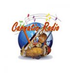 listen_radio.php?radio_station_name=2640-carnaticradio