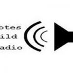 listen_radio.php?radio_station_name=28265-bote-s-mobile-feed