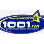 listen_radio.php?radio_station_name=3317-1001-fm