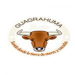 listen_radio.php?radio_station_name=38496-radio-guagrahuma