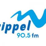listen_radio.php?radio_station_name=3998-radio-rippel