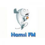 listen_radio.php?radio_station_name=5556-hamsi-fm