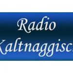 listen_radio.php?radio_station_name=7161-radio-kaltnaggisch