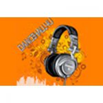 listen_radio.php?radio_station_name=7662-dancehall4u