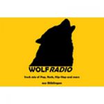 listen_radio.php?radio_station_name=7997-wolfradio