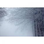 listen_radio.php?radio_station_name=9512-end-zeit-fm