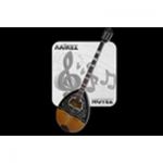 listen_radio.php?radio_station_name=9919-laikes-notes