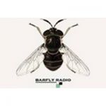 listen_radio.php?radio_station_name=9925-barfly-radio