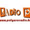 listen_radio.php?radio_station_name=10924-radio-p