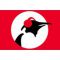 listen_radio.php?radio_station_name=12247-pinguin-radio