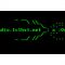 listen_radio.php?radio_station_name=16763-radio-lclhst