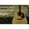 listen_radio.php?radio_station_name=24832-caldonia-s-crossroad-radio