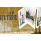 listen_radio.php?radio_station_name=2905-democracy-radio