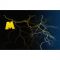 listen_radio.php?radio_station_name=7131-musikzirkus