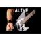 listen_radio.php?radio_station_name=8668-alive-radio
